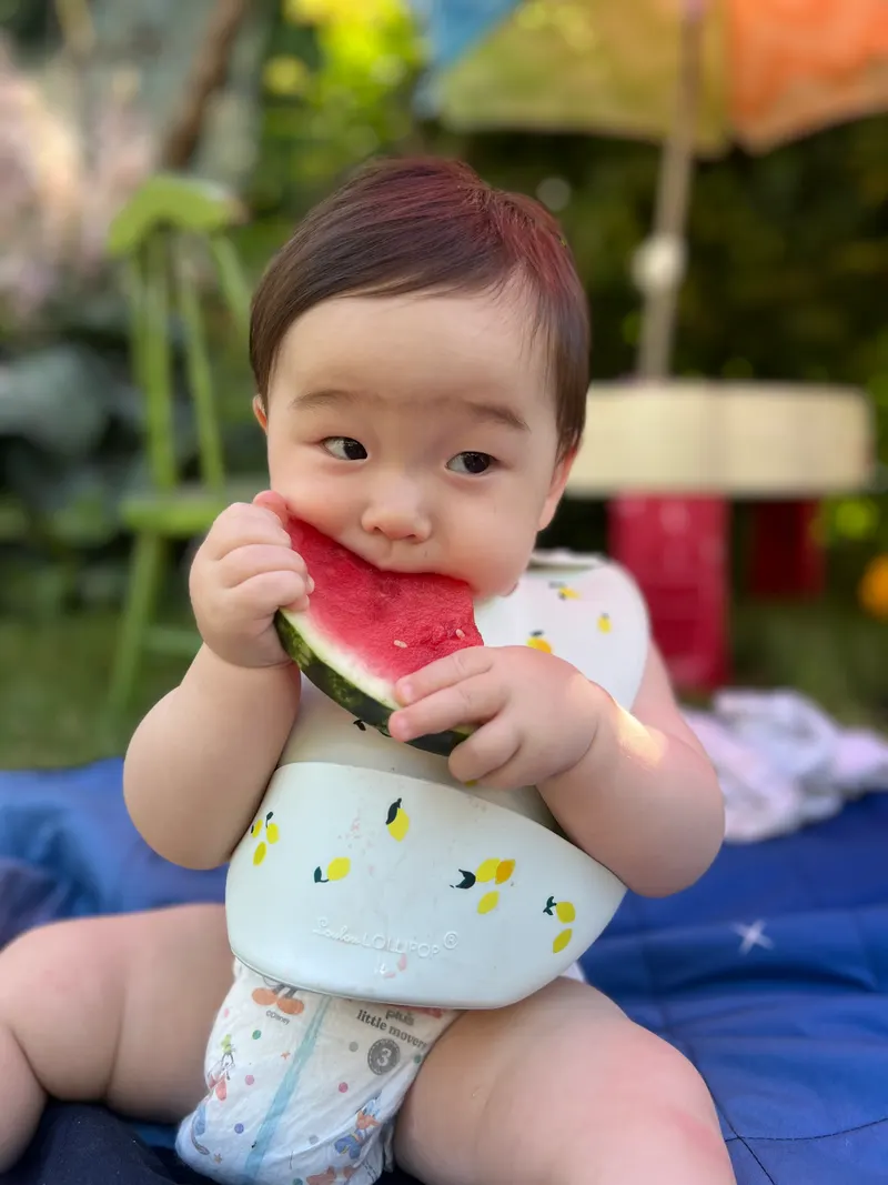 Amadeus at eight months calmly eating a slice of watermelon outdoors